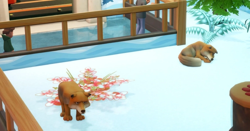 Авторы Two Point Museum показали геймплейный трейлер дополнения Zooseum о зоомузее